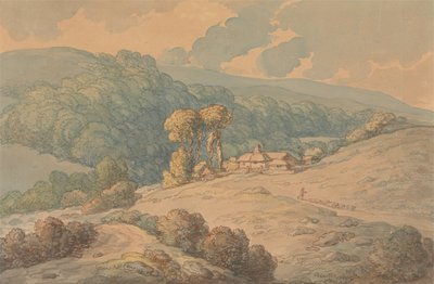 Bosco di Hengar, St. Tudy, Cornovaglia da Thomas Rowlandson